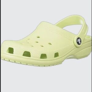 Crocs in Celery